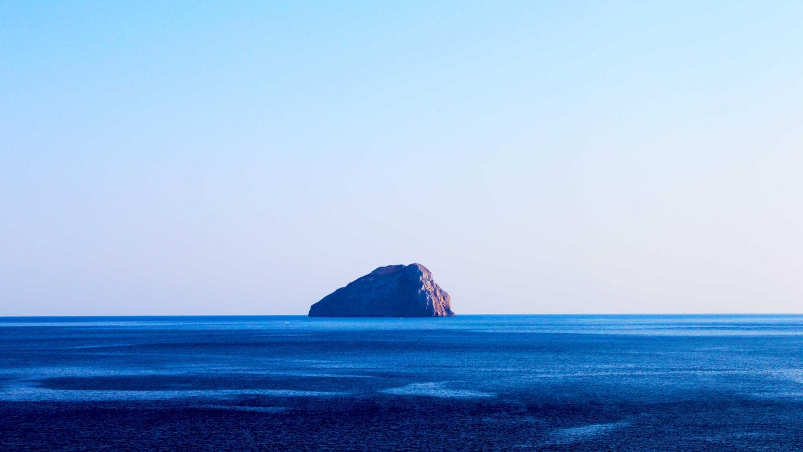 Remote vehicle diagnostics technician